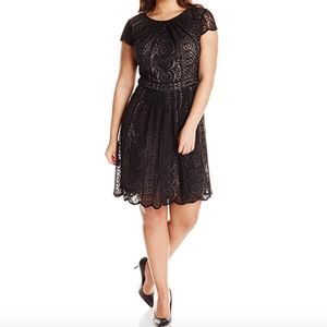 Plus-Size Pleated Stripe Filigree Lace Dress